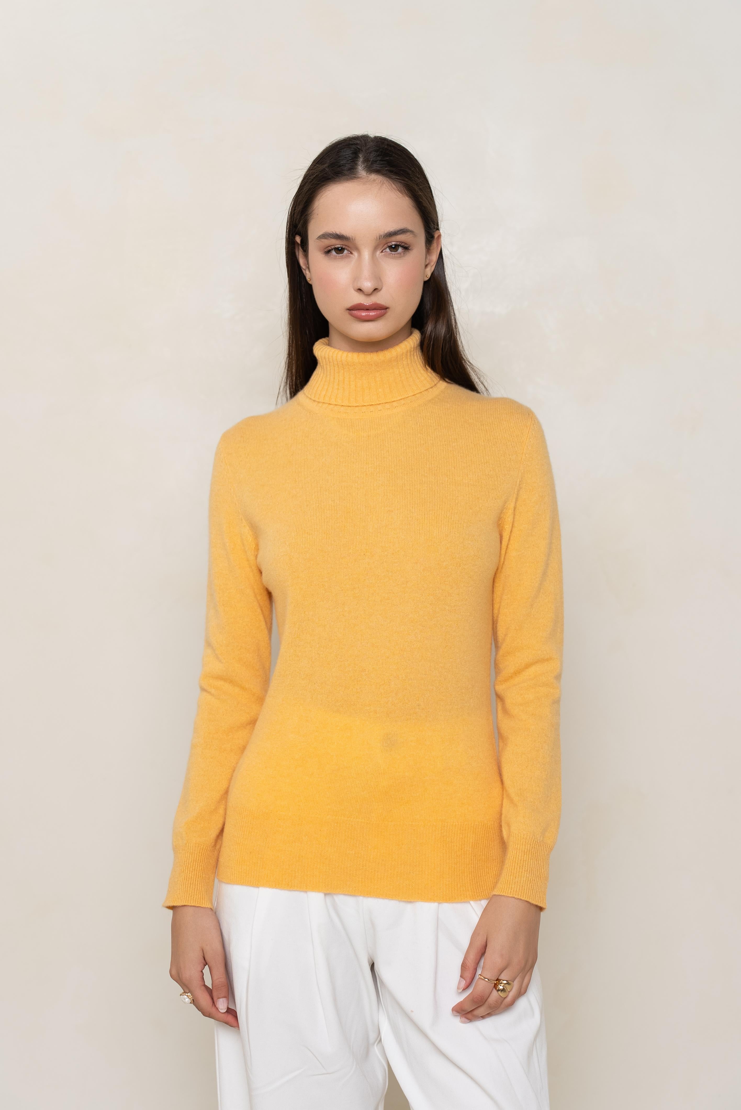 Pull col roulé en cachemire