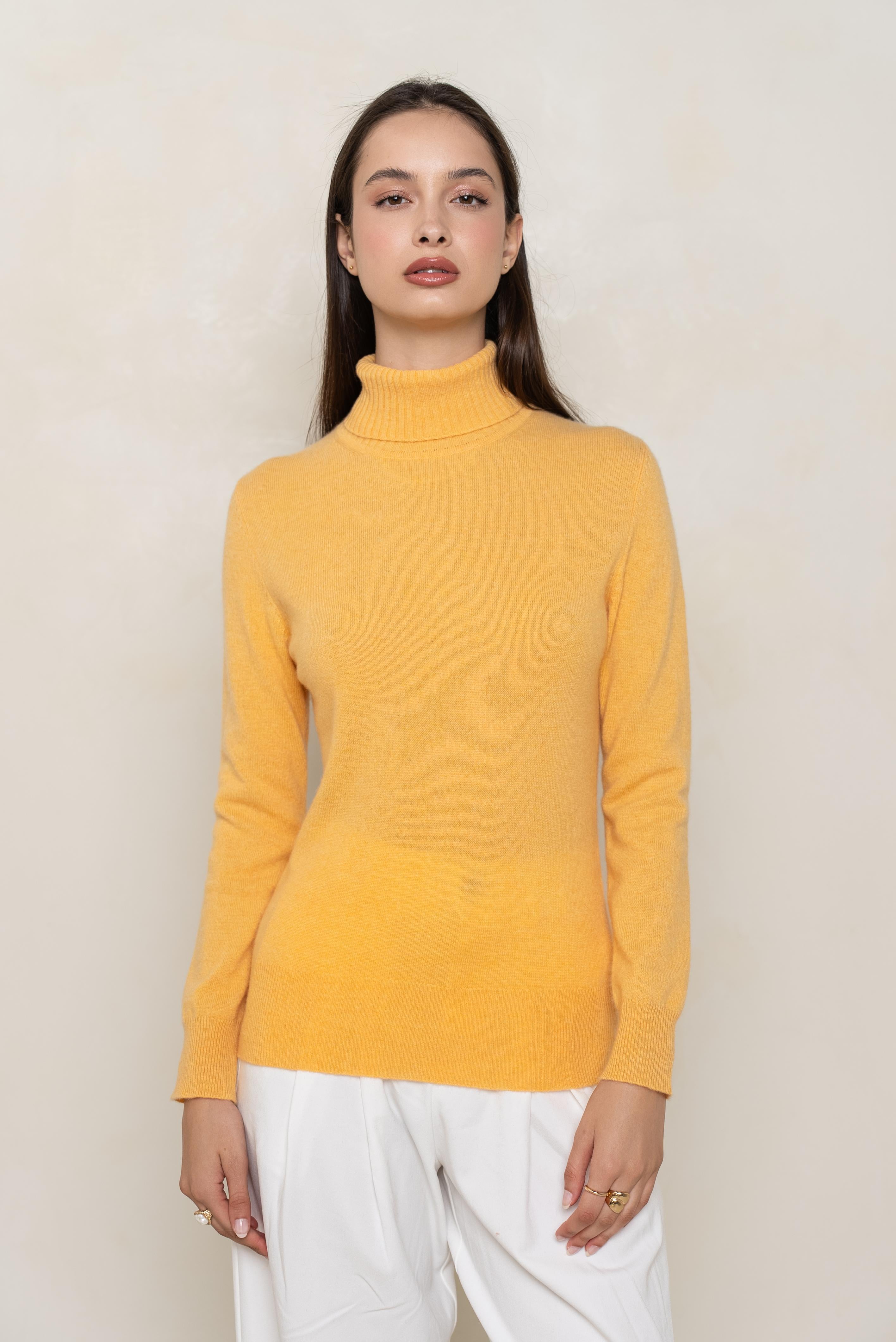 Pull col roulé en cachemire