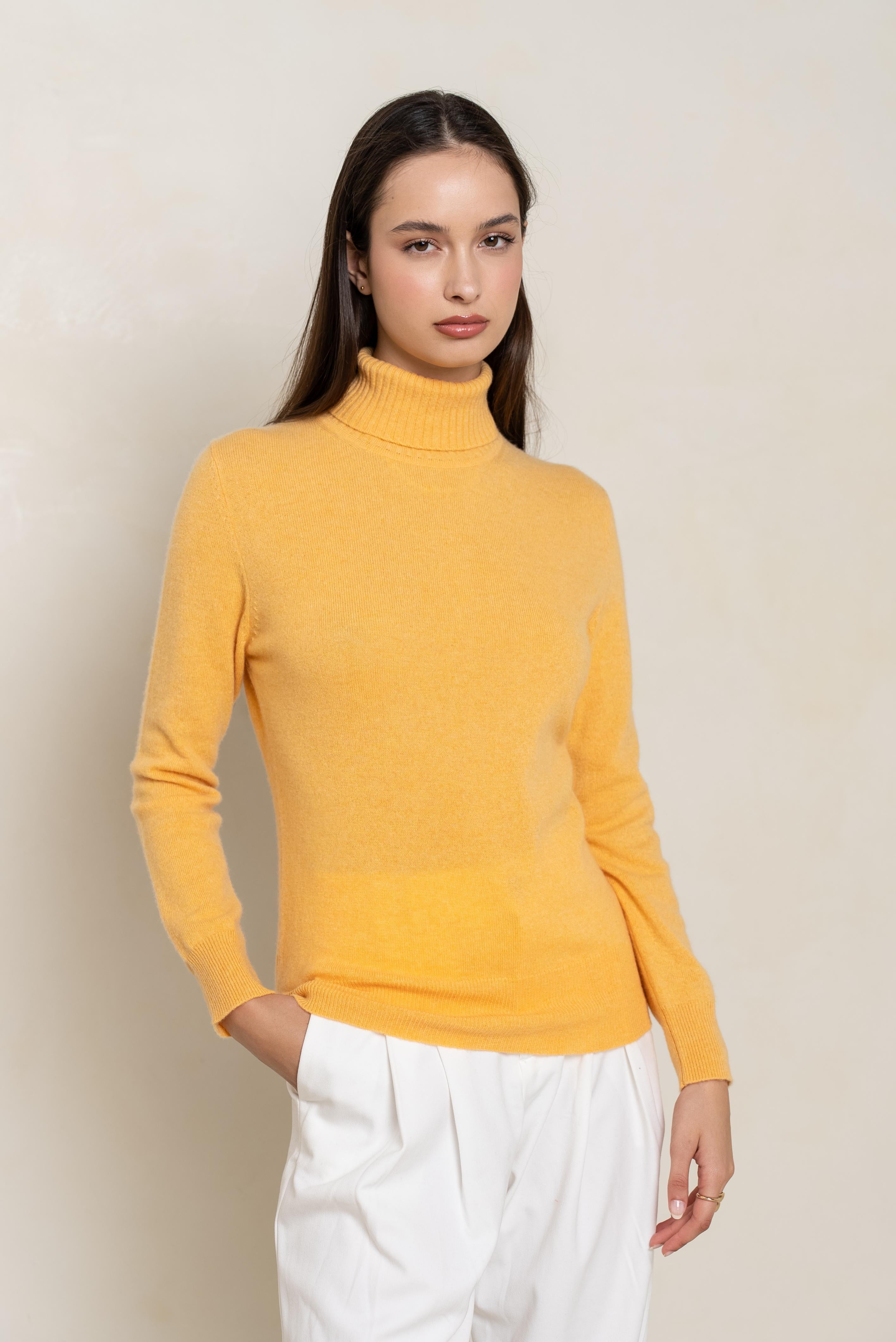 Pull col roulé en cachemire